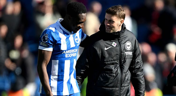 Brighton manager Fabian Hurzeler with Danny Welbeck