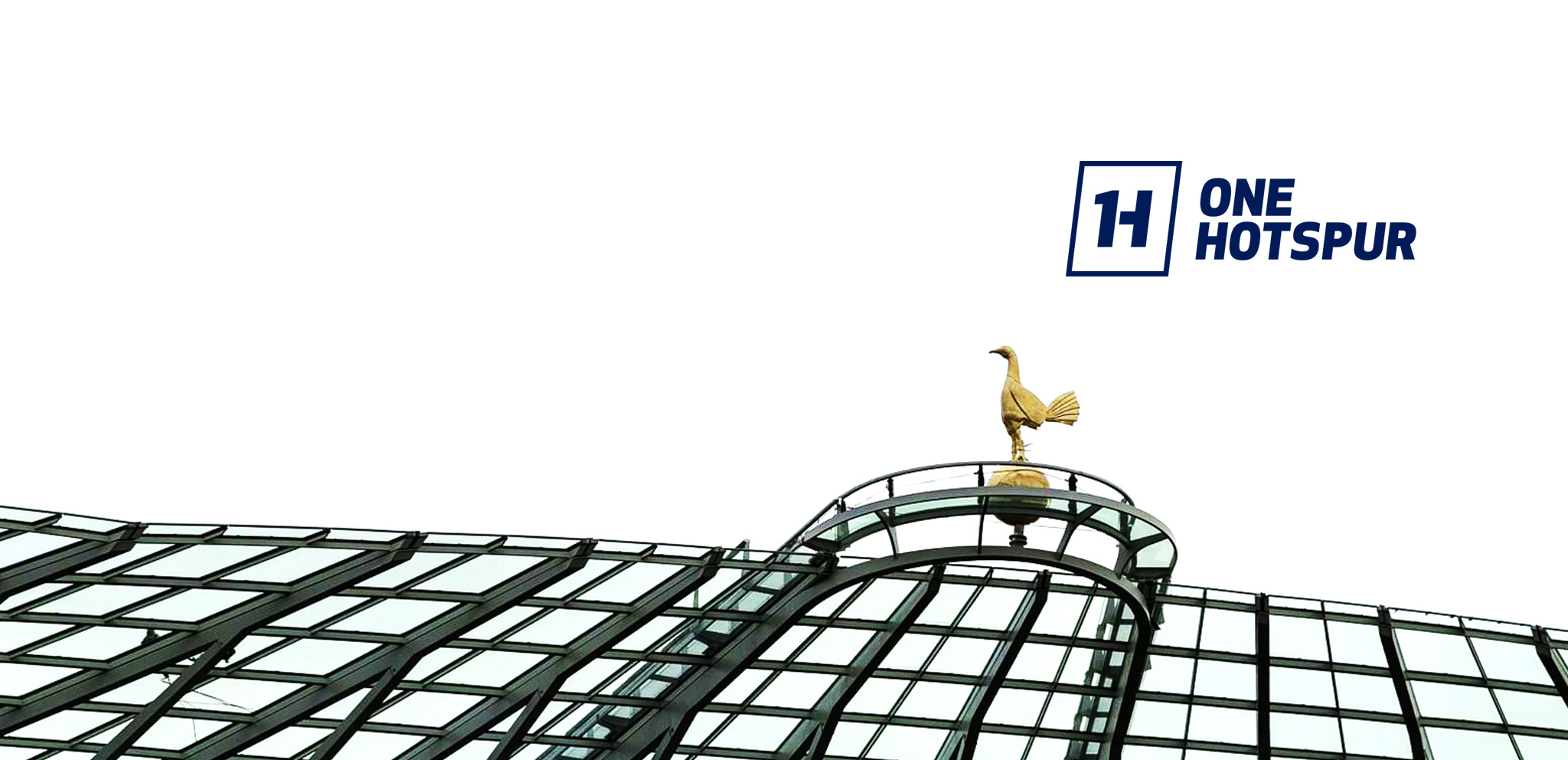 Five reasons to become a One Hotspur Member