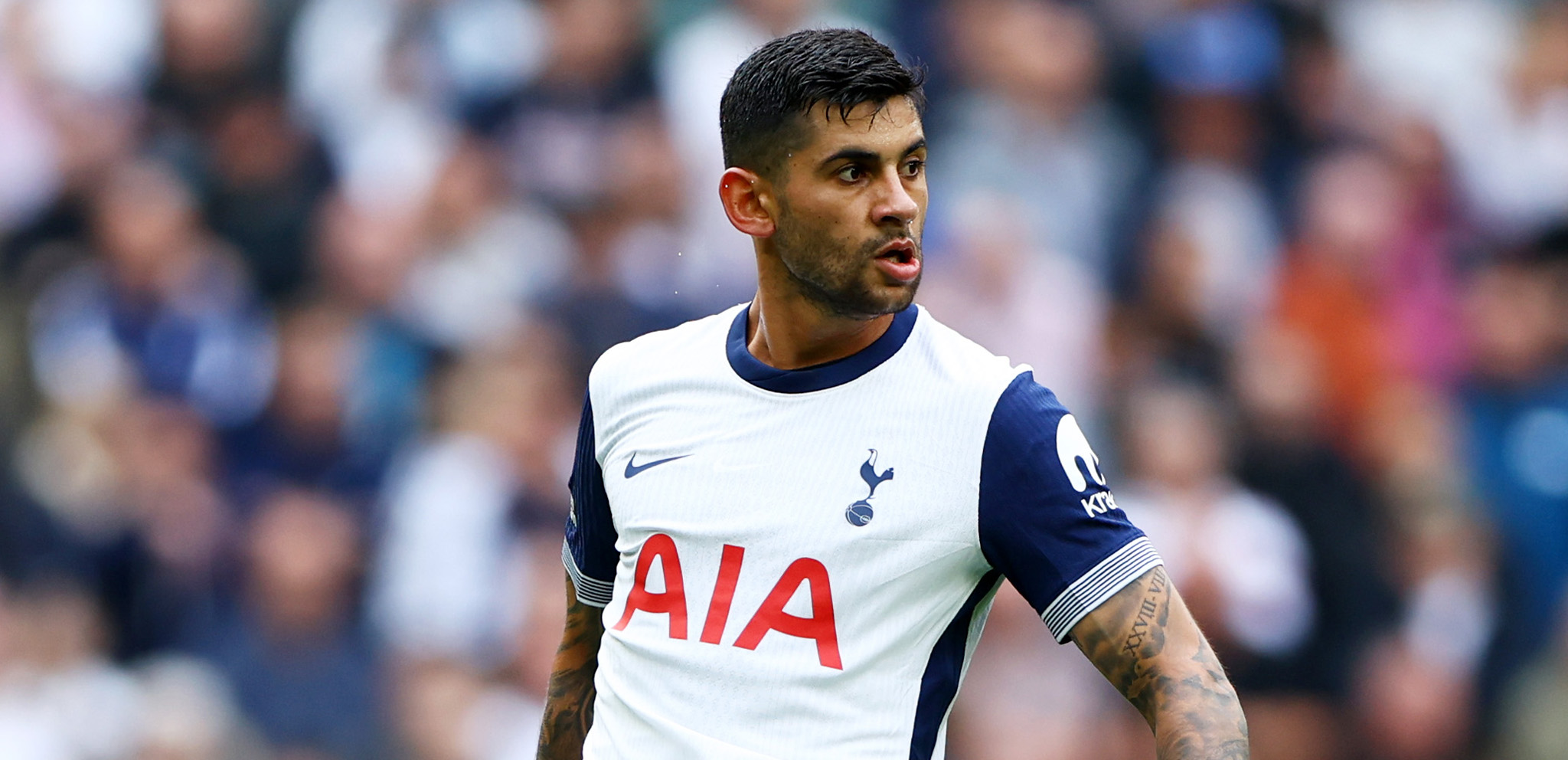 www.tottenhamhotspur.com